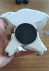 Cute Meditating Skull Dashboard Phone Holder for Car, Car Phone Mount, Skull Car Interior Accessories, Home Office