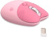 Lomiluskr Cute Cat Wireless Mouse, Lightweight Soundless Mice, 2.4G Wireless Mice, Candy Colors,