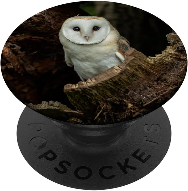 Owl Owls Cute Bird Animal Design PopSockets Swappable PopGrip