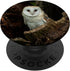 Owl Owls Cute Bird Animal Design PopSockets Swappable PopGrip