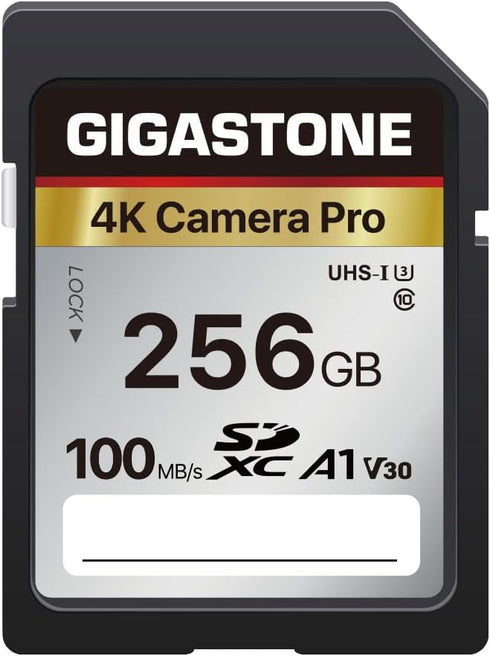 Gigastone 256GB Memory Card, 4K Pro Series Speed Up To 100MB/s, Compatible with Canon Nikon Sony Camcorder, A1 V30 UHS-I