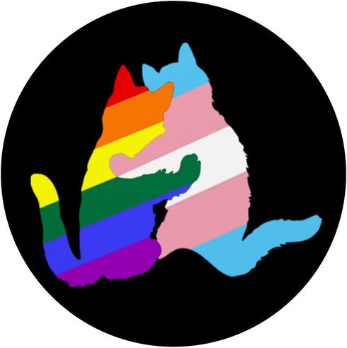 LGBT Transgender Pride Ally Cats PopSockets PopGrip: Swappable Grip for Phones & Tablets