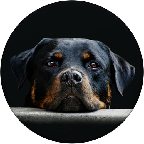 Rottweiler Dog Breed Face Gift PopSockets PopGrip: Swappable Grip for Phones & Tablets