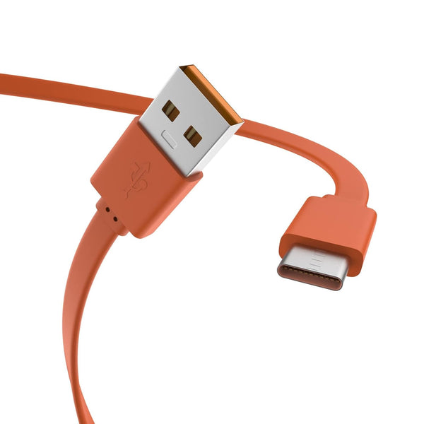 Replacement Flat USB Type C Charging Cable Charger Cord for JBL Wireless Speaker.