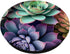 Succulents Pastel Colors PopSockets Standard PopGrip
