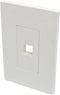 Tripp Lite Single-Gang 1-Port Universal Keystone Wall Plate, White for Cat5/6/6a, USB, HDMI