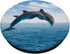Dolphin In The Sea Ocean Cute Fish Mammal Animal PopSockets Swappable PopGrip