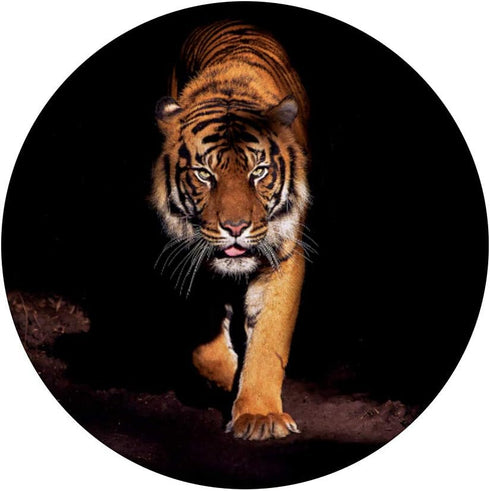 Tiger Face Wild Animal Big Cat Design PopSockets Swappable PopGrip
