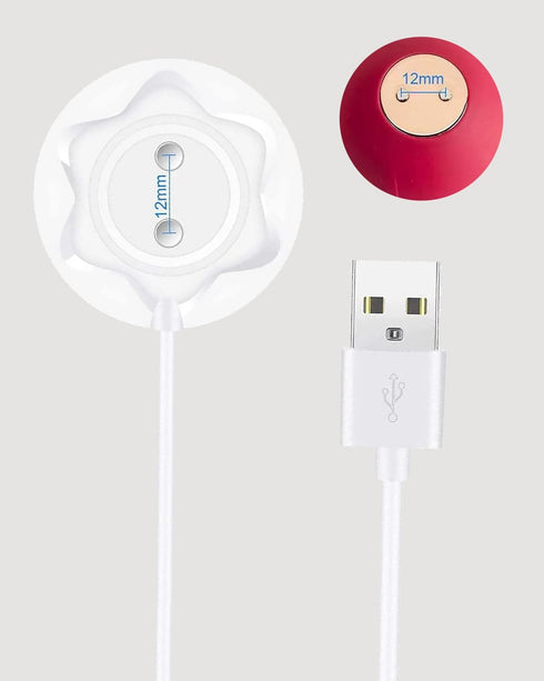 Mailink Rose Charger - Magnetic Charger Replacement - Fast Charging USB Cable Standing Dock Station for Rose Only