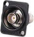 Toronce D series BNC Panel-Mount Connector | Pass-Through D-BNC Connector