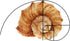 2pcs 2 Golden Ratio View Finder Styles Fibonacci Photo Composition Tool Viewer Photography Artist Viewfinder Rule