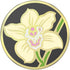 PopSockets Butter Orchid PopGrip: Adhesive Phone Stand