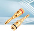 Taidda 10 Pcs Portable Lightweight Sturdy Durable Gold Plated Speaker Banana Connector Plug Wire Audio Adapter