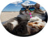 Cat Accessories for Cat Lovers Funny Cat Design for Cat Lovers PopSockets Adhesive PopGrip