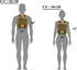TORCH MOLLE Urban Commuter Backpack Laptop Bag Rucksack for Hiking, Cycling, Crossfit, Light Rucking EDC Gear V2