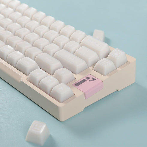 Sumgsn SA Profile Keycaps, 142 Keys PBT Doubleshot Keycaps Set, White Jade, Fit for 61/64/87/104/108 Cherry MX