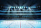 Ice Hockey Sport Photography Backdrops, Yeele 5x3ft Stadium Sports Match Background for Newborn Photos