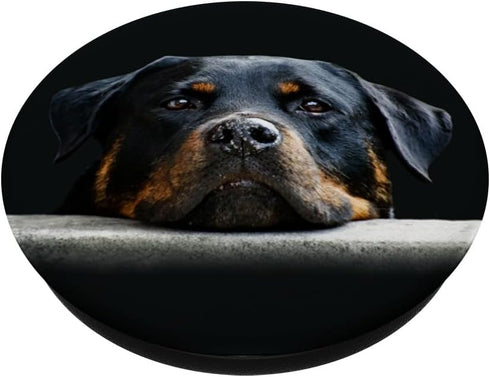 Rottweiler Dog Breed Gift Face PopSockets PopGrip: Swappable Grip for Phones & Tablets PopSockets Standard PopGrip