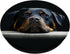 Rottweiler Dog Breed Gift Face PopSockets PopGrip: Swappable Grip for Phones & Tablets PopSockets Standard PopGrip