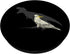 Screaming Cockatoo Meme T-rex Dinosaur Bird Parrot PopSockets Swappable PopGrip