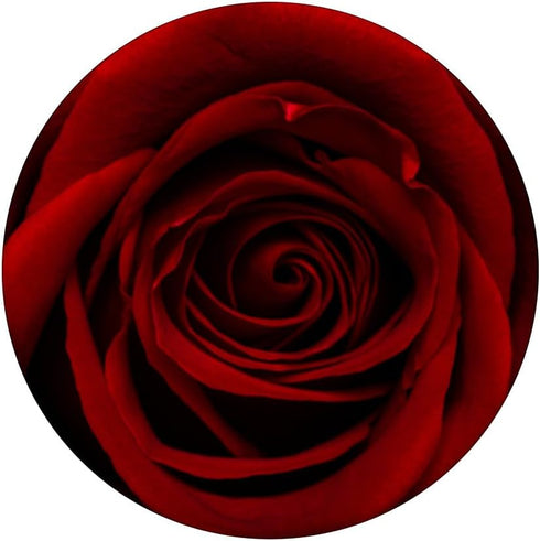 PopSockets Standard PopGrip: Red Rose Floral Flower