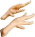 Kisangel Realistic Chicken Feet Model 2 Pcs Faux Food Display Props for