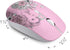 Wireless Mouse with Nano Receiver for PC, Laptop, Notebook, MacBook, Less Noise, Portable Mobile Optical Mice