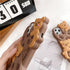 SGVAHY Case for iPhone 11 Pro Max with Strap Lanyard Keychain, Cute Bear Cookie Kawaii Soft Silicone Protective Cover