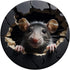 Cute Rat PopSockets Standard PopGrip