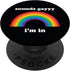 Sounds Gay Funny LGBT Pride Stuff Queer LGBTQ Retro Rainbow PopSockets Swappable PopGrip