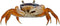 Milk Mug Designs Patriot Crab 4 inch Static Cling