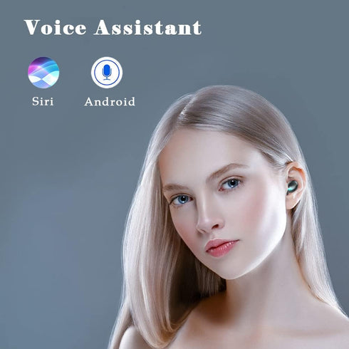 Wireless Earbuds, Bluetooth 5.3 Headphones with Mic, USB Charging Case, Dual Connect, Black Ear Buds.