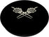 Lazybones Halloween Skull Skeleton Hand Middle Finger PopSockets Swappable PopGrip