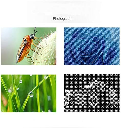 Meichoon 1600X Magnification Endoscope USB Microscope Camera, Portable Mini with Metal Stand