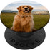 Golden Retriever Cute Dog PopSockets Swappable PopGrip