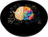 Colorful Brain - Science And Art - Neuroscience Neurologist PopSockets Standard PopGrip
