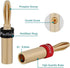 Preffair 8 Pcs HiFi Audio Locking Banana Plugs for Speaker Cable, 24K Gold Plated Bi-Wire Connector Terminal