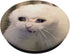 Crying Cat Meme PopSockets PopGrip: Swappable Grip for Phones & Tablets PopSockets Standard PopGrip