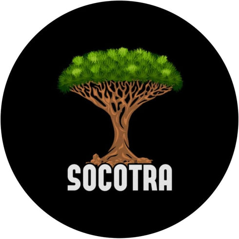 Dracaena Tree Socotra Island Yemen Dragon`s Blood Tree PopSockets Standard PopGrip