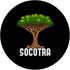 Dracaena Tree Socotra Island Yemen Dragon`s Blood Tree PopSockets Standard PopGrip