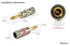 Nakamichi Ultimate Series 24K Gold Plated Beryllium Red Copper Banana Plug, 12-18 AWG Gauge Size, 4mm Connector, 10 Pcs