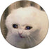 Crying Cat Meme - PopSockets Swappable Grip for Phones & Tablets