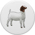PopSockets Standard PopGrip - Boer Goat Brace