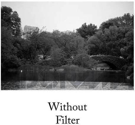 Tiffen 52mm 11 Filter (Green)