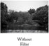 Tiffen 52mm 11 Filter (Green)