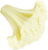 Unomor Realistic PVC Simulation Cauliflower Model Fake Vegetable Slice for Display Photo