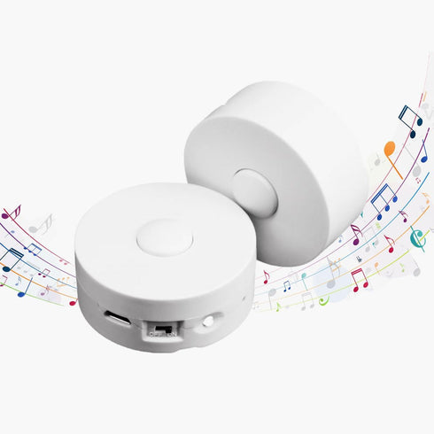XLW Voice Recorder,16Min Voice Recording Button for Stuffed Animals, Bear,Crafts Pillow.16MB Record Custom