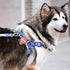 Skywin Silicone Case Compatible with Apple Tracker for Pet Collar, Secure Dog Collar Clip Holder for GPS Tracking Device