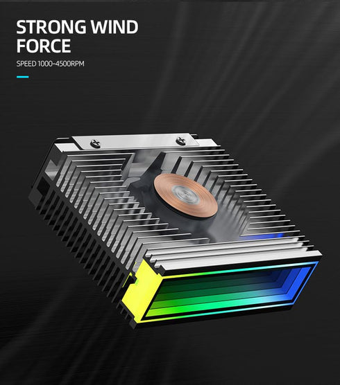 M.2 2280 ARGB Hard Drive Heatsink PWM Dual Fan, SSD Cooling with Thermal Pad, 5V 3Pin Addressable RGB Sync