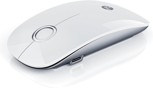 RAPIQUE R306 Pro Wireless Mouse, Dual Bluetooth & 2.4G, Type-C Rechargeable, Silent Click,